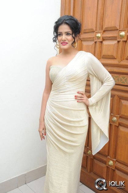 Vishakha-Singh-at-Rowdy-Fellow-Movie-Audio-Launch